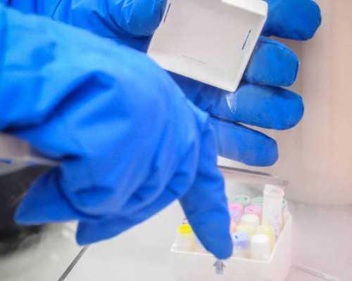 国内选择供卵试管的医院,河南*育津贴2026政策来了 郑州满足条件按流程走5天到账